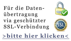 Daten�bertragung via SSL-Verbindung