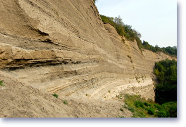 Wingertsberg's mountain face